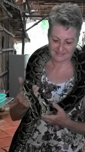 wp_20161130_13_39_32_pro